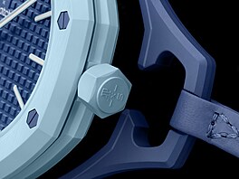 Audemars Piguet × Swatch Royal POp