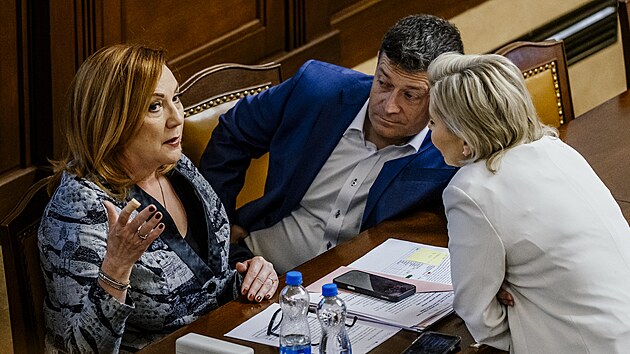 Alena Schillerov�, Patrik Nacher a Ta��na Mal� (v�ichni z hnut� ANO) na jedn�n� Poslaneck� sn�movny k vl�dn�mu n�vrhu z�kona upravuj�c�mu vybran� legislativn� normy t�kaj�c� se ve�ejn�ch rozpo�t�. (15. kv�tna 2026)