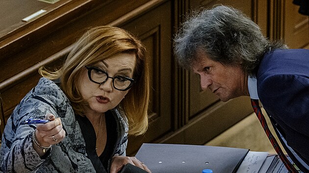 Ministryn� financ� Alena Schillerov� a Miroslav �ev��k (SPD) na jedn�n� Poslaneck� sn�movny k vl�dn�mu n�vrhu z�kona upravuj�c�mu vybran� legislativn� normy t�kaj�c� se ve�ejn�ch rozpo�t�. (15. kv�tna 2026)