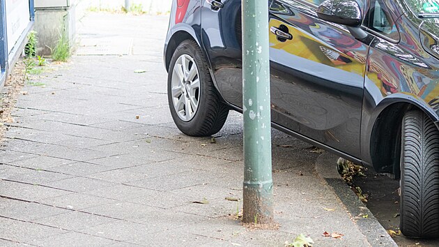 Páníček se toho zjevně nebojí. Ale není to spíš panička? Průzkum žurnálu...
