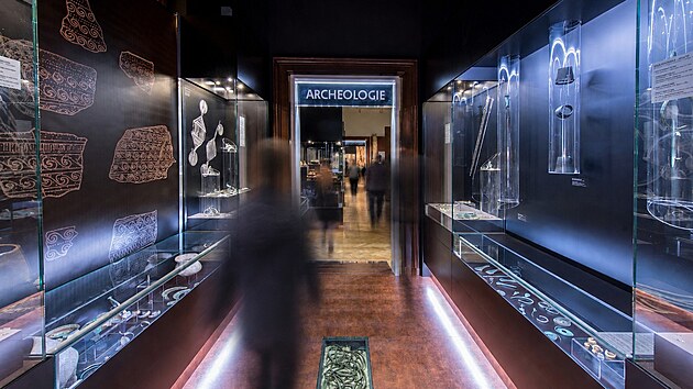 Jiho�eské muzeum o�ije Muzejní nocí