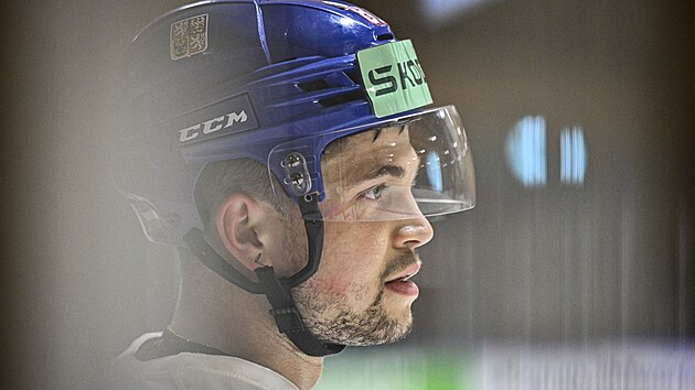 Hokejov� �to�n�k Mat�j Bl�mel