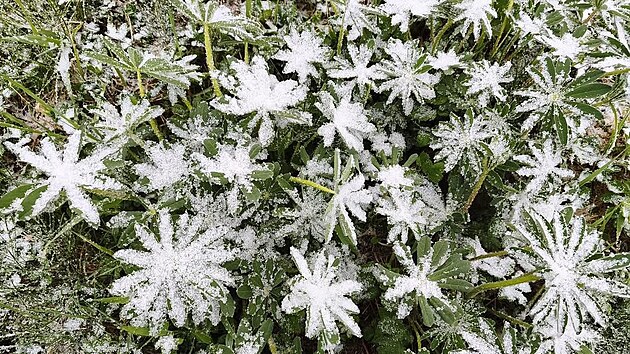 Po letních teplotách šok. Meteorologové ukázali, kde v Česku bude v úterý sněžit