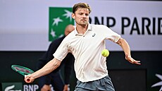 David Goffin b�hem prvního kola kvalifikace Roland Garros.