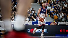Viktor P�lpán z Basketu Brno b�hem zápasu s D��ínem.