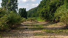 Druhá nejv�t�í evropská �eka jen kousek za kousek obcí Immendingen moc �eku...