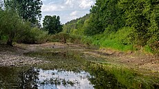 Je to mnohem mén� �dunajovitý� Dunaj, ne� by asi nepou�ení turisté �ekali.