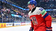 Ji�í �ernoch se zlobí na rozhod�í po neuznaném gólu v utkání proti �védsku.