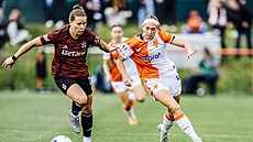 Spar�anské fotbalistky slaví zisk mistrovského titulu po derby se Slavií.