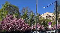 Osv�tlení má podle Teplic, které za n� zaplatilo 377 tisíc korun, zvý�it...