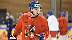 Hokejový obránce Tomá� Cibulka na tréninku �eské reprezentace ve Fribourgu