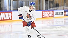 Hokejový obránce Ji�í Tichá�ek na tréninku �eské reprezentace ve Fribourgu