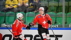 Simon Knak a Damien Riat slaví �výcarské vedení v utkání s �eskem na �védských...