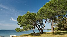 Chorvatský národní park Brijuni (4. �ervna 2025)