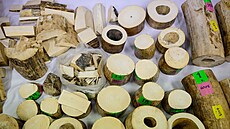 Thajské ú�ady zabavily 250 kilogram� z Afriky pa�ované slonoviny. (11. kv�tna...