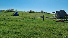 Ve Westernovém m�ste�ku Boskovice na za�átku kv�tna 2026 zaznamenali jev zvaný...