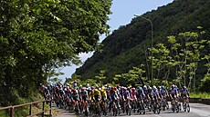 Peloton b�hem �esté etapy italského Gira