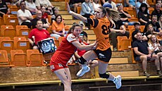 Lovosice, 10. 5. 2026, interliga házenká�ek, 2. zápas semifinále Slavia Praha -...