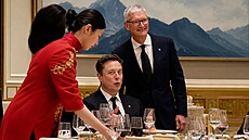 Musk se v �ín� chová jako turista, opíjí se a natá�í na mobil