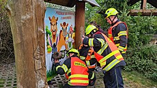 Na farm� v Broumov� hasi�i vyprostili dít� uvázlé ve fotost�n�. (8. kv�tna 2026)