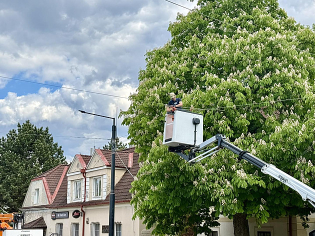 Praha dokončuje elektrifikaci dalších tratí, trolejbusy tudy projedou už v létě