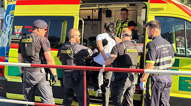 Cizinec boural v Praze do aut a od nehod ujížděl. Policie ho dopadla a on se smál