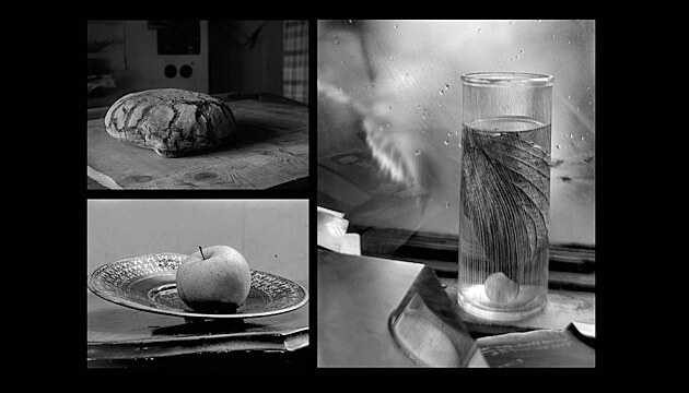 Fotograf J. Sudek v Galerii Kinský v Novém zámku v Kostelci nad Orlicí