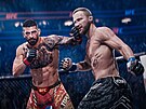 EA Sports UFC 6