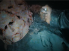 Stalke�i z Resident Evilu