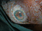 Stalke�i z Resident Evilu