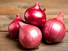 �ervená cibule