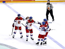�e�tí hokejisté Michal Kempný, David Tomá�ek, Jakub Flek a Dominik Kubalík...