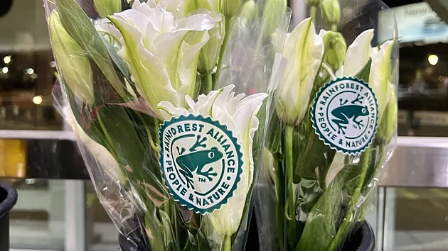 Logo certifik�tu Rainforest Alliance se nevztahuje pouze na potraviny, zaru�� i...