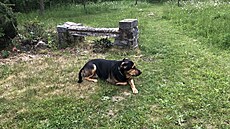 Rona si Lenka Svozílková po�ídila jako �t�n� poté, co se p�est�hovala z m�sta...