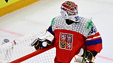 Dominik Pavlát se ohlí�í po jednom z inkasovaných gól� v utkání s Norskem.