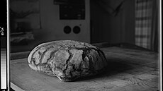 Fotograf J. Sudek v Galerii Kinský v Novém zámku v Kostelci nad Orlicí