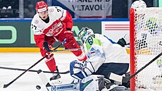 Slovinský gólman Luká� Horák zasahuje proti dánskému úto�níkovi Mathiasu...