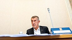 Sch�ze vlády. Na snímku premiér Andrej Babi�. (25. kv�tna 2026)
