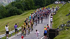 Peloton v 16. etap� Gira.