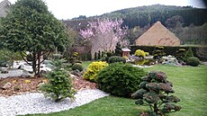 Panoramata na�í zahrady