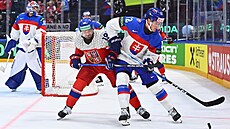 Jakub Flek v utkání �eska proti Slovensku na MS ve �výcarsku.