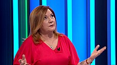 Kompeten�ní �aloba prezidenta? Je to hloupost a ostuda, �ekla Schillerová