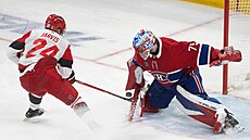 Úto�ník Seth Jarvis z Caroliny se sna�í p�ekonat montrealského branká�e Jakuba...