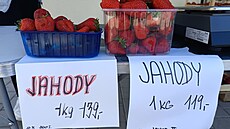 Kolik v roce 2026 stojí kilogram jahod?