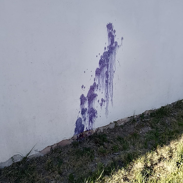 Vandal pocákal dům novinářky Witowské. Pokud má někdo problém, ať přijde, řekla