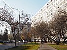 Oficiáln� tu má �ít 85 000 obyvatel, p�i�em� 79 procent z nich by m�lo být...