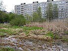 Práv� to t�sné obstoupení sídli�t� dopravními tepnami d�lá ze sídli�t� pomyslný...