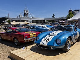 Shelby Daytona Coupe je absolutní legenda motorsportu. Tento ikonický v�z s...