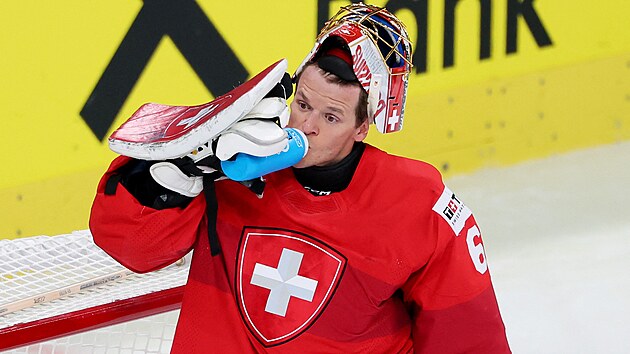 Hokey 2026'da Dünya Kupası: Turnuvanın All-Star takımı nasıl görünüyor?