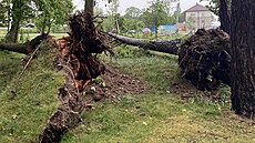 Následky bou�ky a silného v�tru v Bor�ov� na �eskobud�jovicku. (31. kv�tna 2026)